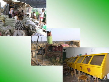 我國食用菌菌種管理技術(shù)解析與進出口實務探討