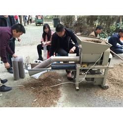 食用菌菌種產(chǎn)業(yè)與貿(mào)易全景解析 從設(shè)備技術(shù)到國際流通