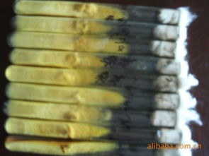 舒城縣金大地菌種廠 高品質(zhì)食用菌菌種產(chǎn)品與進出口業(yè)務概覽