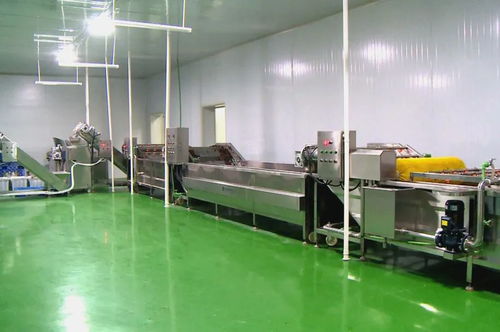 筑巢引鳳添動力，招商引資促發(fā)展 譜寫食用菌菌種進出口產(chǎn)業(yè)新篇章