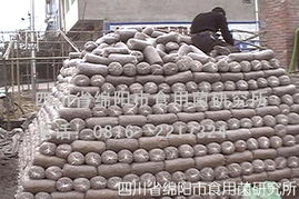 秀珍菇栽培技術(shù)全攻略 從菌種選育到進(jìn)出口須知